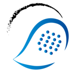 Lions Americano Juxturnier