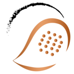 KIMASOL - Newcomer - 13.03. APN (1.0-1.7)