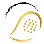 SPARKASSE Lions Winter Circuit